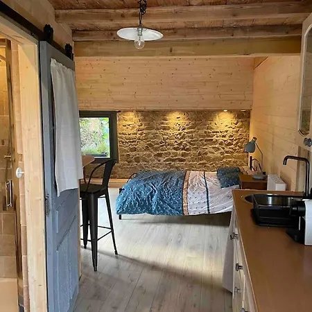 Prázdninový dům Le Dixneufcentvinschiroubles Chiroubles