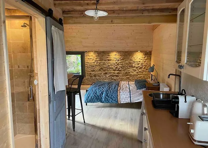 Holiday home Le Dixneufcentvinschiroubles Chiroubles